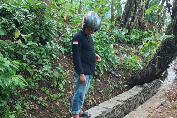 Program P3TGAI di Desa Barunai Dinilai Berkualitas Buruk dan Asal Jadi