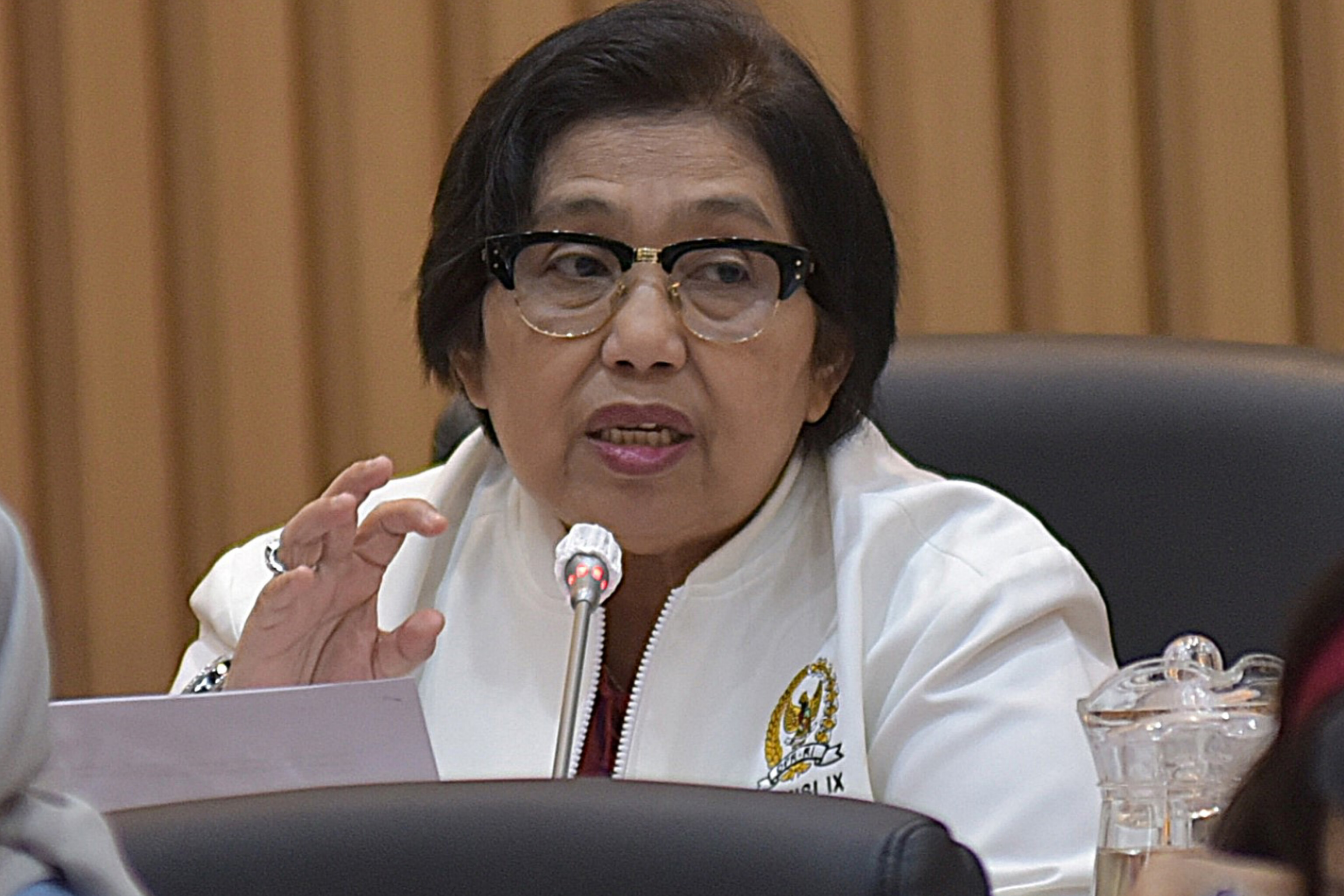 Anggota Komisi IX DPR RI Irma Suryani Chaniago