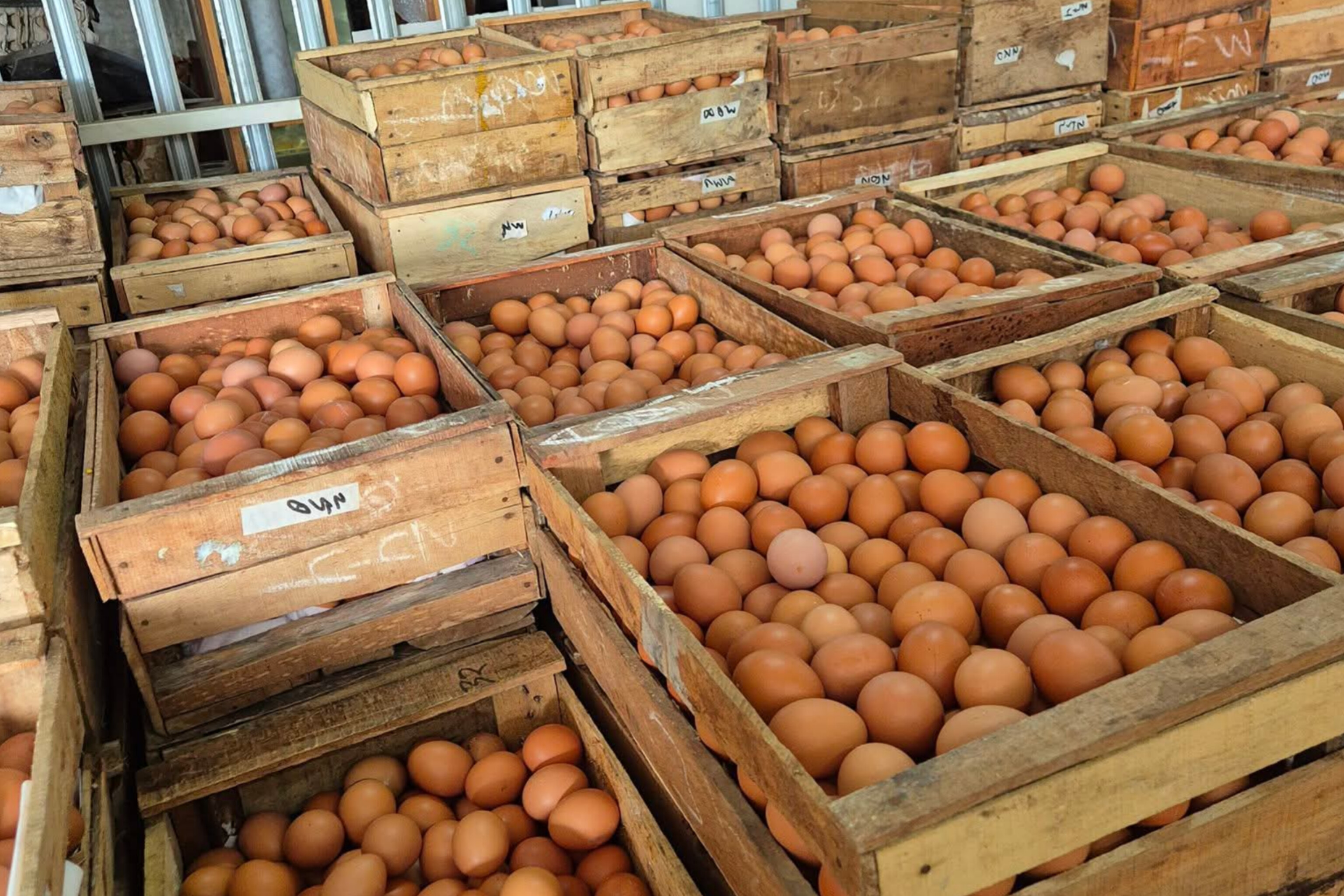 Telur ayam di pasar tradisional