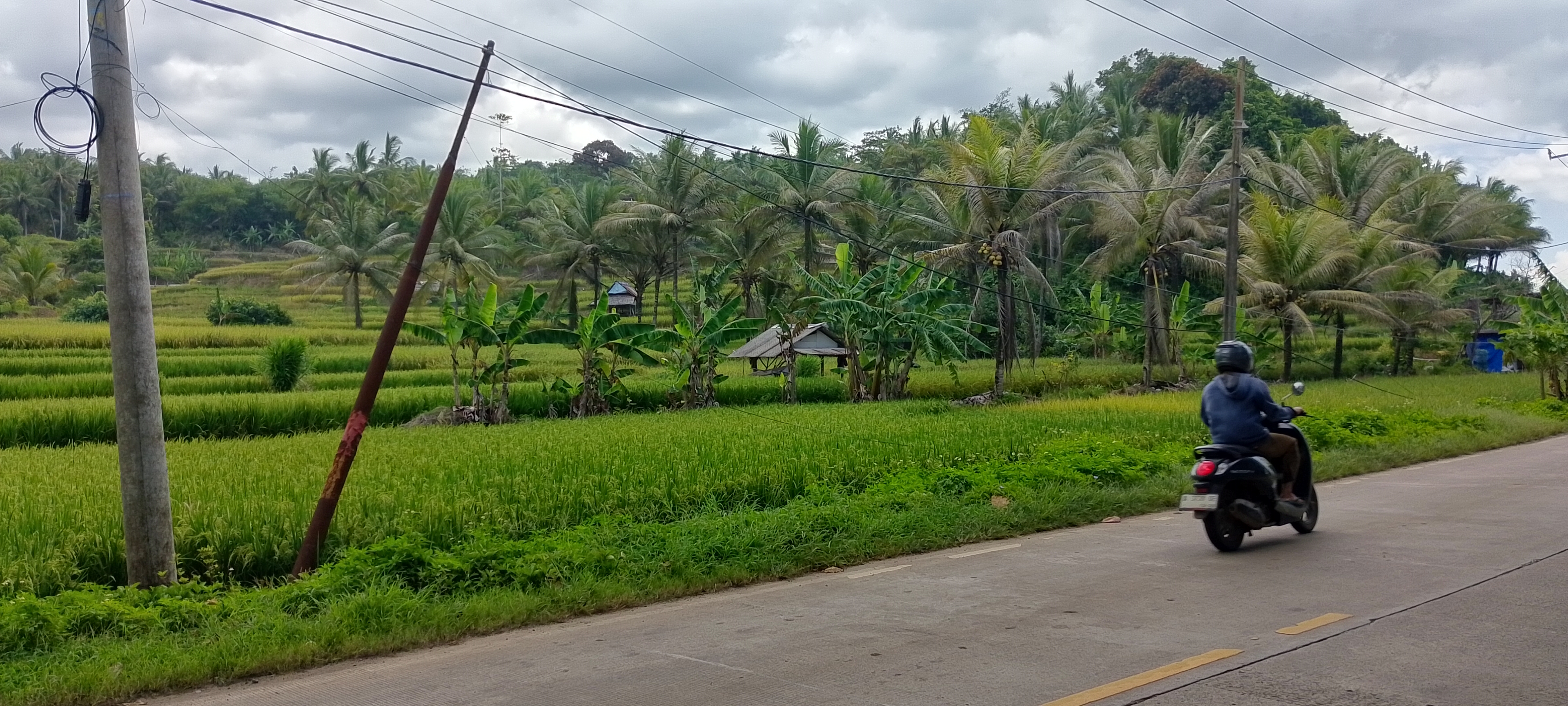 Tiang WiFi Miring di Pantai Karang Berem, Desa Karang Kamulyan, Cihara, Lebak