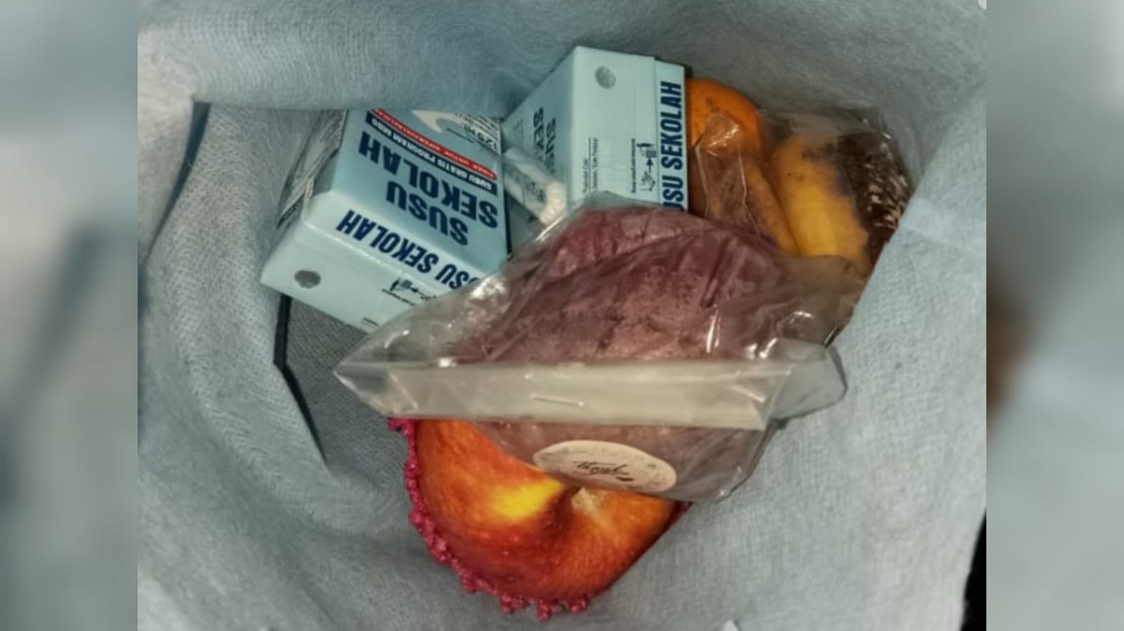 Menu MBG Tiga Hari (Tanggal 12 sampai 14 Februari 2026) Untuk Ibu Hamil, Menyusui dan Balita, di Desa Sumber Waras, Kecamatan Malingping