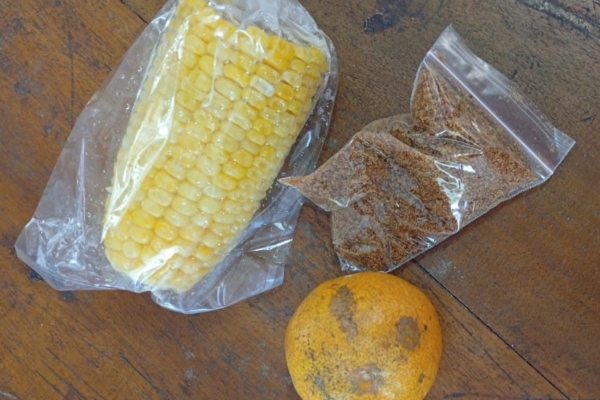 Menu MBG di SD IT Daar El-Kutub Disorot, Siswa Hanya Terima Jagung Rebus, Jeruk, dan Abon