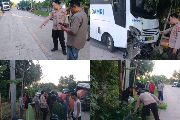 Tabrakan Tragis Bus Damri vs Motor di Cihara, Lebak, Dua Orang Tewas di Tempat