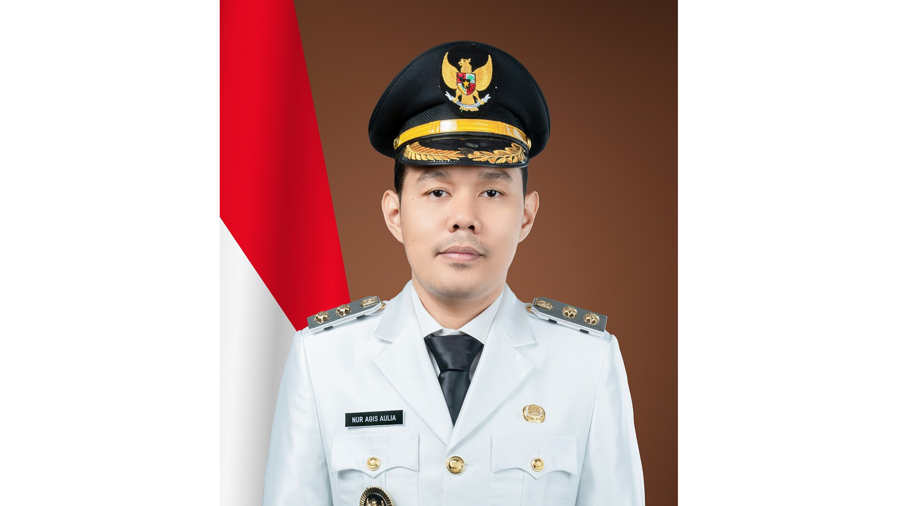 Wakil Wali Kota Serang, Nur Agis Aulia