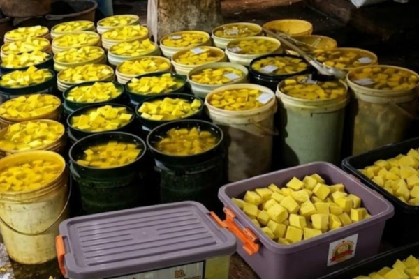 Harga Kedelai Tembus Rp12.500, Pengrajin Tahu Malingping Menjerit