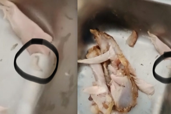 Video Viral Tunjukkan Ayam MBG Berbelatung di SMKN 1 Wanasalam