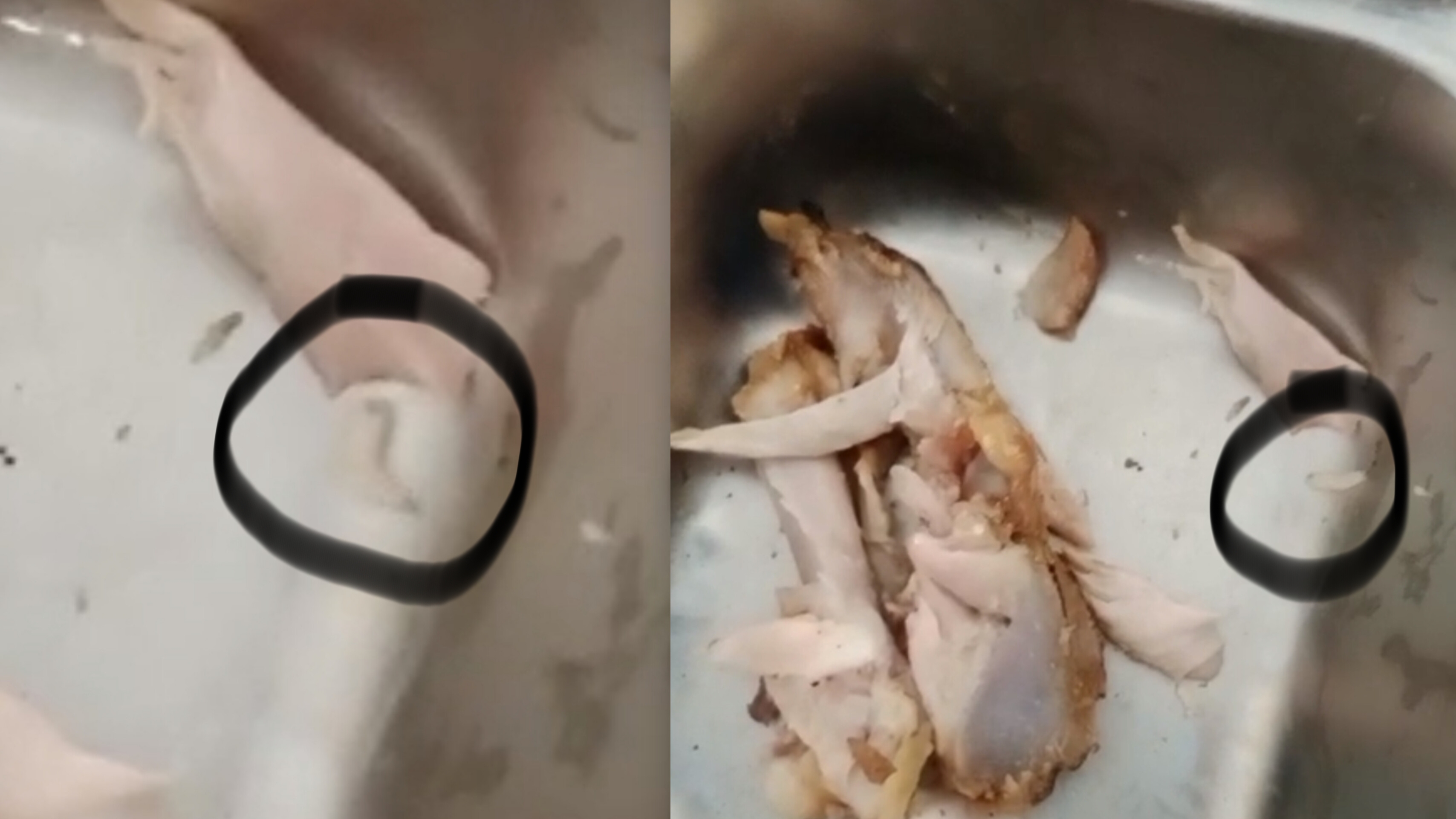 Tangkap layar vidio MBG di SMKN 1 Wanasalam yang terdapat belatung